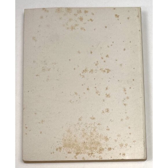 The Victory Of Mary Christopher Harvey Calkins Methodist Christian Religious PB - Picture 5 of 7